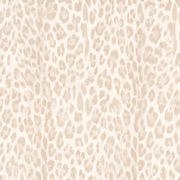 Light Leopard
